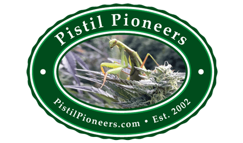 Pistil Pioneers | Cherry Pie | $20 | Preweigh | OZ