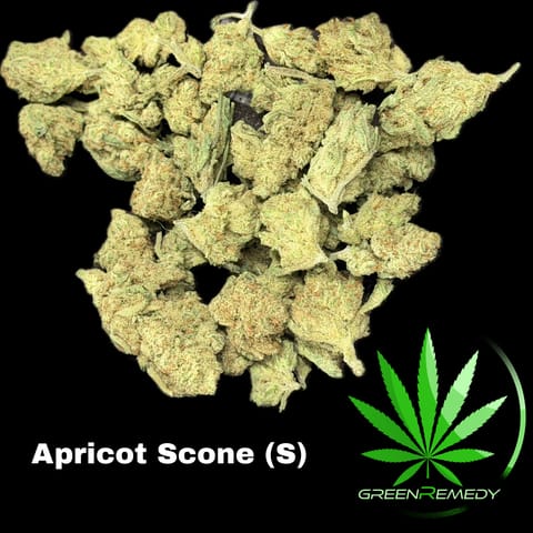Apricot Scone