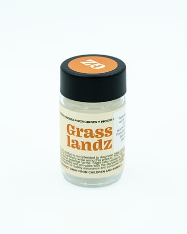Glue 31 | Mini-Rolls 0.35g | 10pck