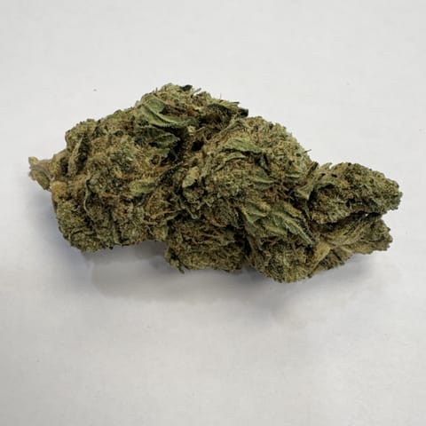 Cherry Pie (Pistil Pioneers)