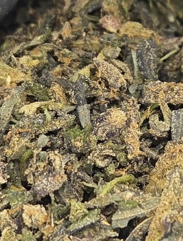 Tangie Berry Blast | 1oz | Trim
