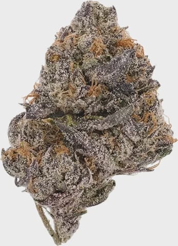 Jelly Breath