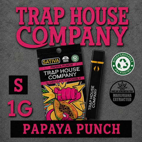 THC 1g Distillate Disposable - Papaya Punch