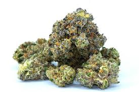 Mac Daddy Smalls (I) By Clarity Gardens