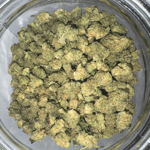 Grim Glue Popcorn