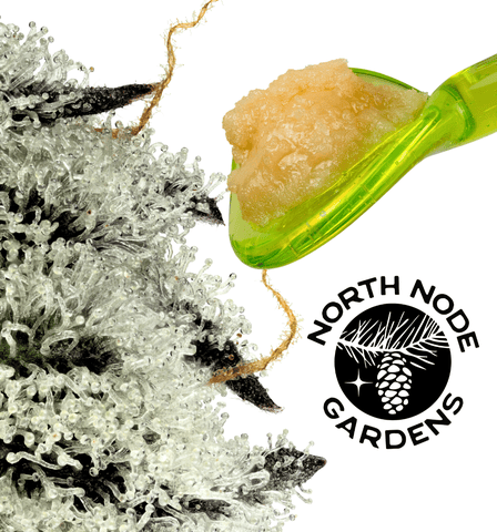 Planet of the Grapes 1g Live Rosin