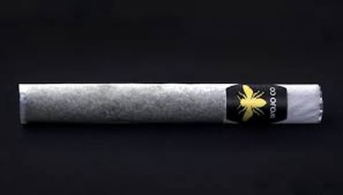 Rainbow Pave x Apple Of My Eye 2g Live Rosin Infused Honey Hole | Wojo