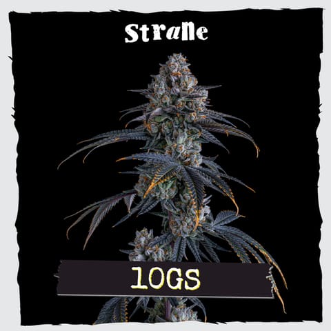 Strane | Flower | - 10Gs | 3.5g Bag