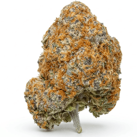Hawaiian Fanta - Sativa-Dominant Hybrid - 3.5g