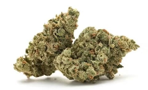 Rare Dankness | Flower | Papaya Juice | S