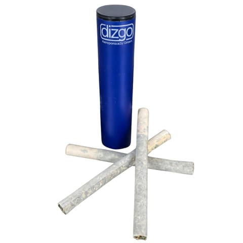 Blue Dream | Preroll | 0.5g | Dizgo |