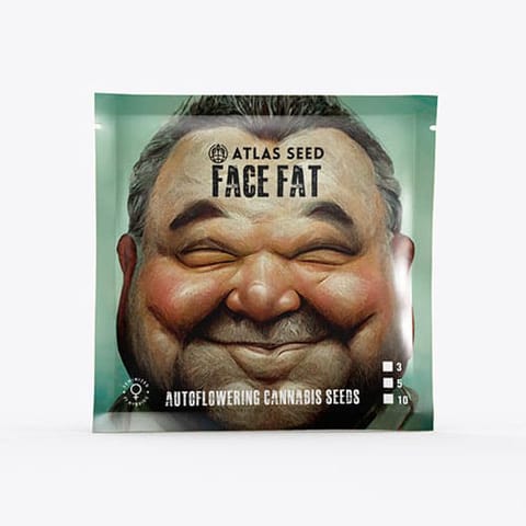 Atlas Autoflower Seeds 5 pk - Face Fat Auto