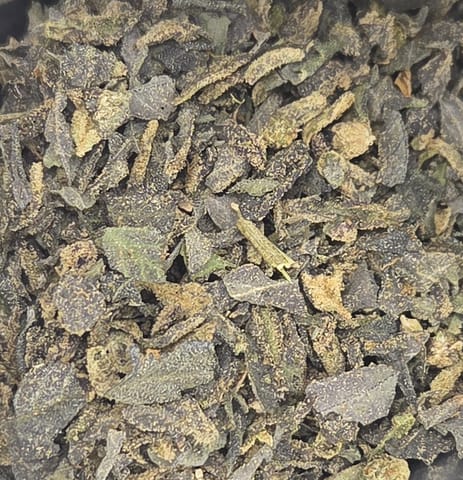Oreoz Blizzard | 1oz | Trim