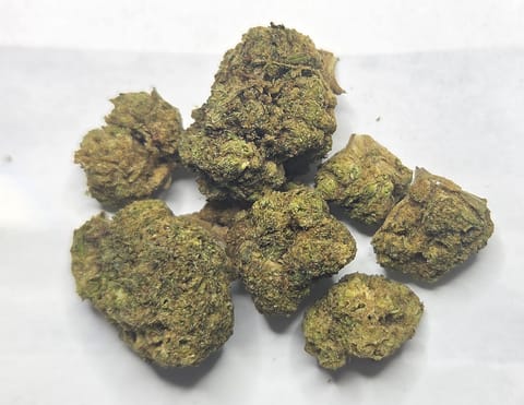 Gelonade X Soap | Bulk Flower | Greenhouse | Oz
