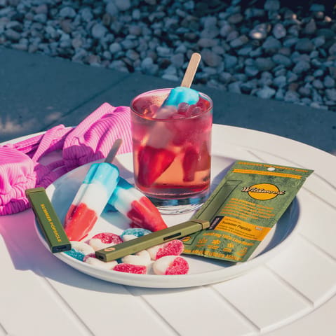 Wildwood 2g Disposable - Summer Popsicle -Hybrid