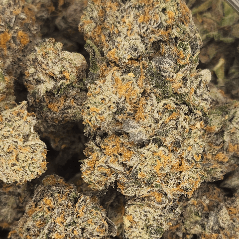 Freedom Green Flower Sinister Hybrid