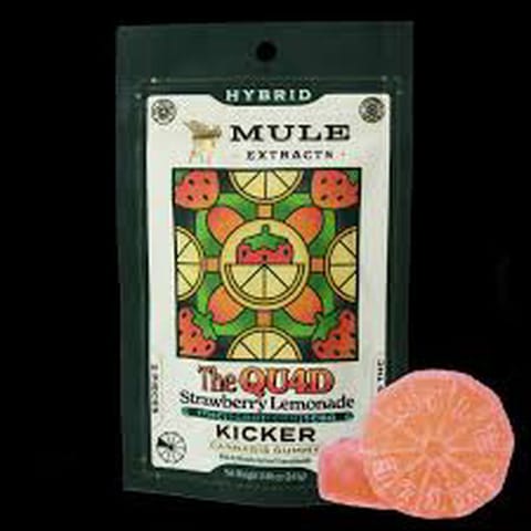 Strawberry Lemonade 1:1:1:1 Gummy 100MG (Mule)