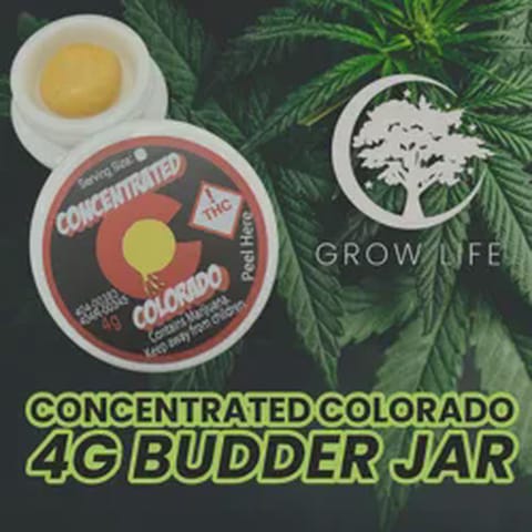 Concentrated CO Budder Blue Mamaba 4g (REC)