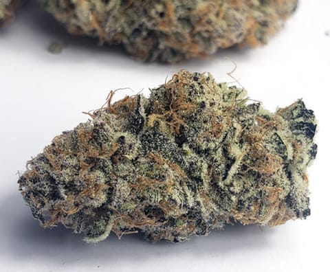 Heritage,  Jelly Zonuts, (S) 3.5g