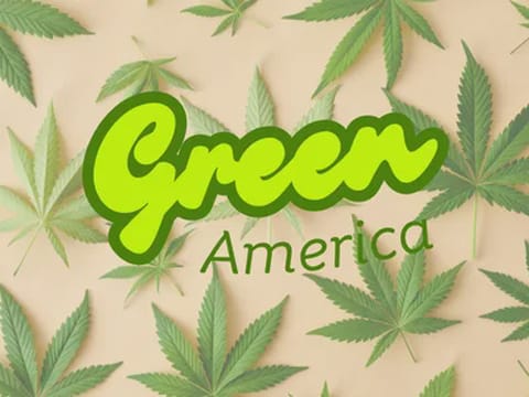 Green America B's - Futura Haze - Sungrown