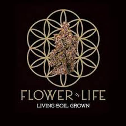Purple Punch x Agent Orange 1g x 28pk Pre Rolls Bucket | Flower Of Life