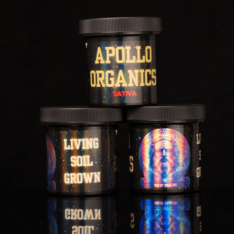Purple Punch x Agent Orange 1g x 28pk Pre Rolls Bucket | Flower Of Life