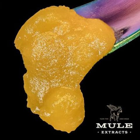 Mule | Rogue Wildflower | 2G | Live Resin | Dab