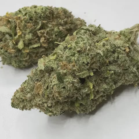 GRANT PHARMS - CRUNCH BERRY - BULK GOLD  TIER BUD