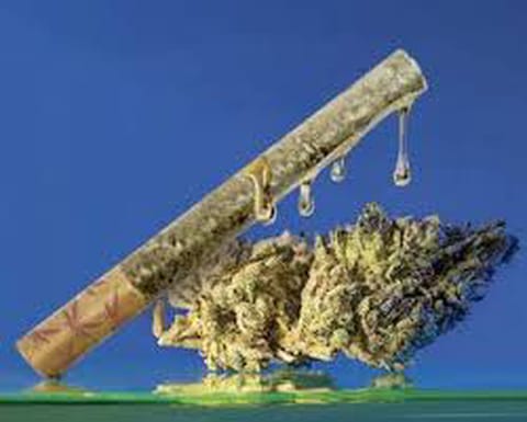 Peep Show - Grasshopper Farms - Infused Pre Roll - 1g**
