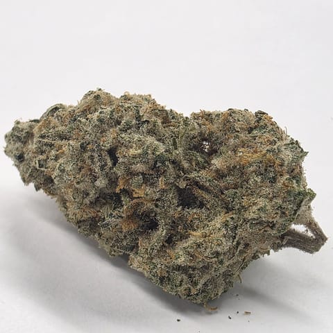 NW Soiltech | Ice Cream Mints