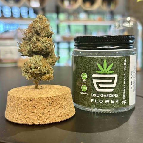 StarDawg 1/8