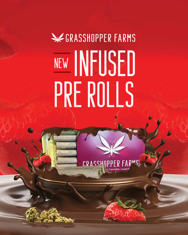 Chocolate Covered Strawberry (Infused Pre-Roll)