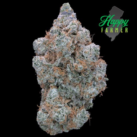 G-Spot (3.5g)