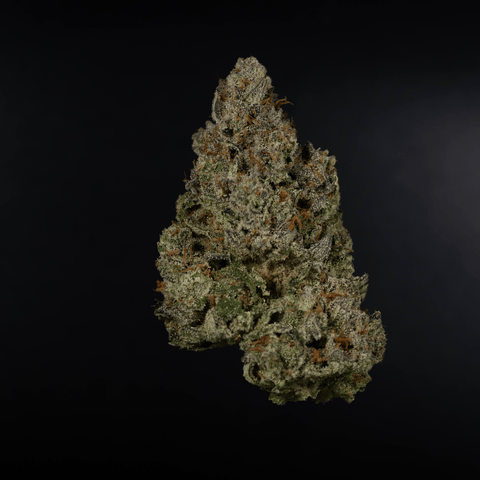 Haskap Lime 3.5G