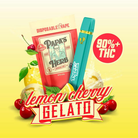 PAPAS HERB - THC ALL IN ONE - LEMON CHERRY GELATO - 1G