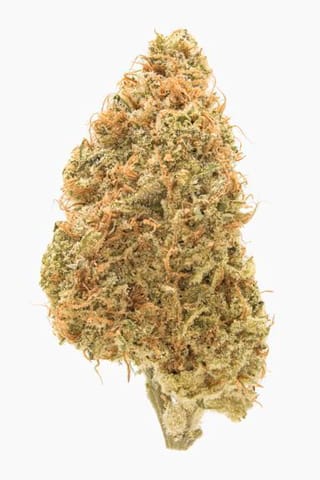 Aurora Cookies