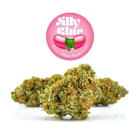 Jilly Glue | Sativa-Hybrid - | Half-ounce