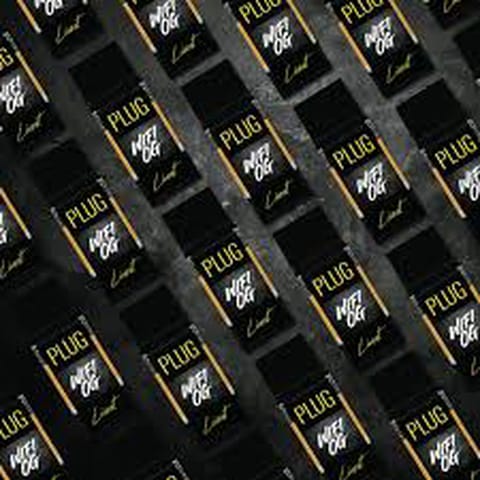 PlugPlay | Wifi OG | Livest Pod | Hybrid | 1g