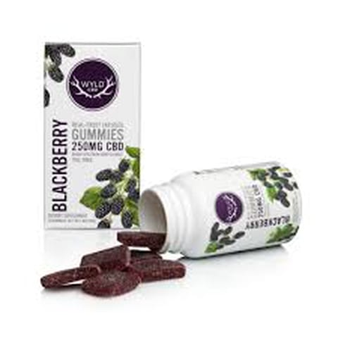 Blackberry 250MG CBD Gummy (WYLD)