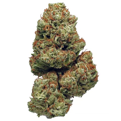 Cherry Garcia