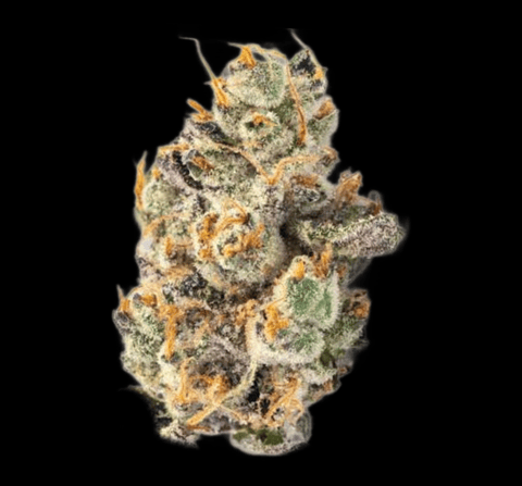 Tangie Cookie Burger | Premium Flower - | 7g