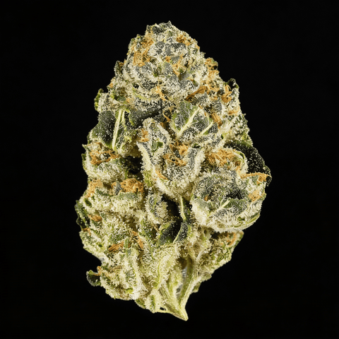 Island Mountain Headband | Caleta Flower - | 7g
