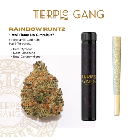 Rainbow Runtz - Terple Gang - Pre-roll - 1G**
