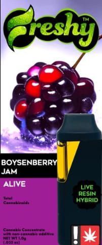 Freshy | Boysenberry Jam | 1G | Flavored Live Resin | Disposable