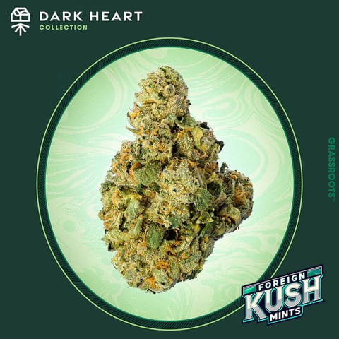 Foreign Kush Mints - 1g - Flower - Indoor