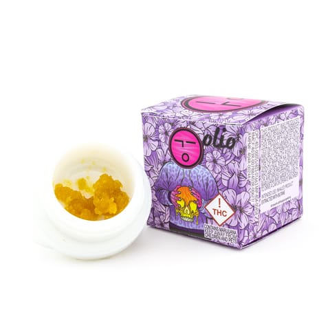 Olio Live Resin Wet Sugar | Gak Lemon Zelatti 1g Rec