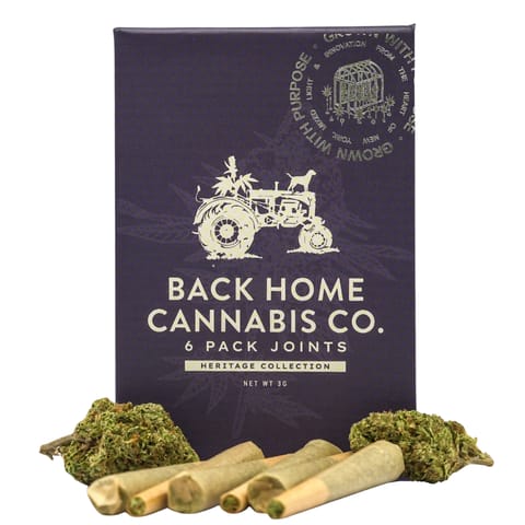 Back Home Cannabis Co. | Gorilla Glue | .5g [6pk]