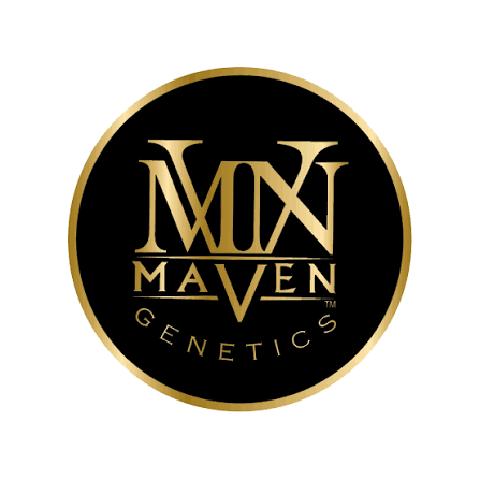 Maven | Chrome Dome | Sativa | 1g | Bag