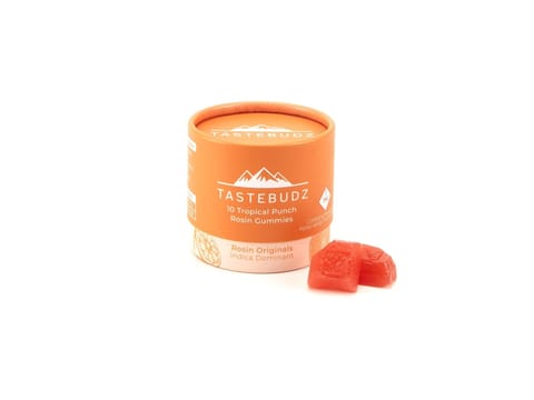 Tropical Punch | 100mg Rosin Gummies