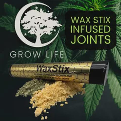 WaxStix Infused Joint Diablo Berry 1g (MED)